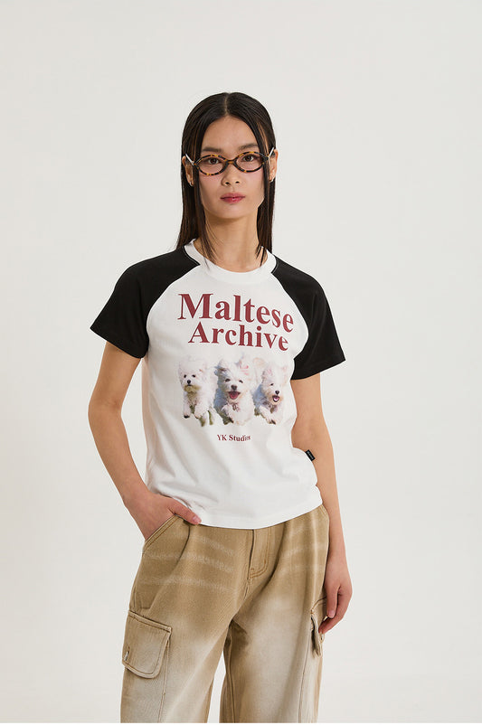 WAIKEI - Maltese archive raglan half sleeve T-shirt IVORY