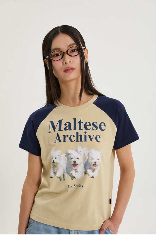 WAIKEI - Maltese archive raglan half sleeve T-shirt BEIGE