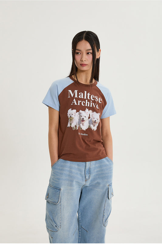 WAIKEI - Maltese archive raglan half sleeve T-shirt BROWN