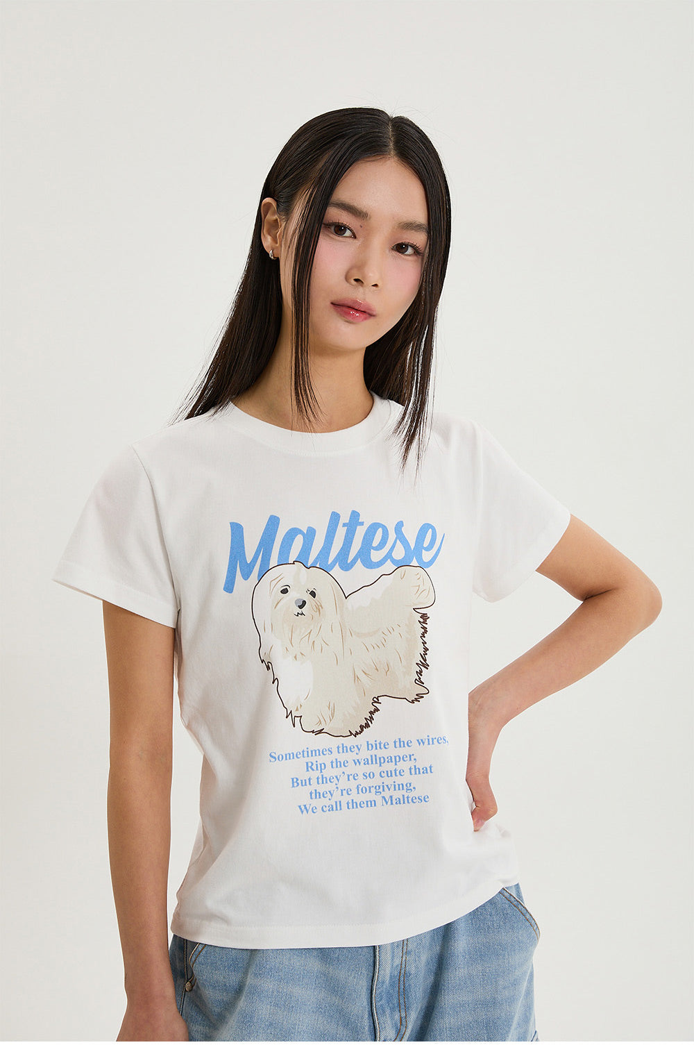 WAIKEI -  Maltese illustration half Sleeve T-shirt WHITE