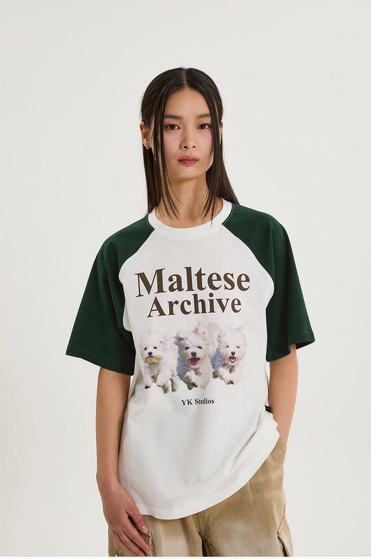 WAIKEI -  Maltese archive raglan half sleeve T-shirt GREEN