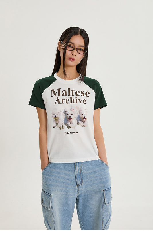 WAIKEI -  Maltese archive raglan half sleeve T-shirt GREEN